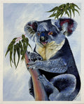 Koala fine art reproduction print by Sally McLean Artist, Australian wildlife art
