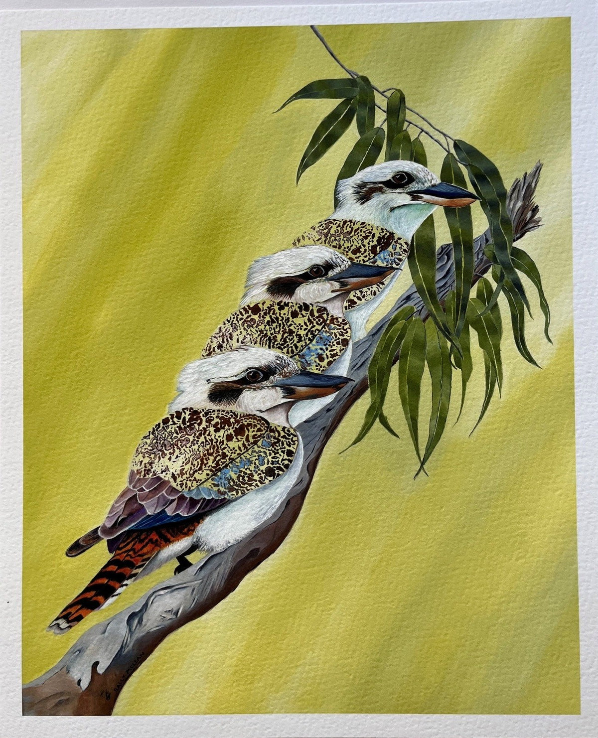 Kookaburra Trio fine art reproduction print by Sally McLean Artist, Australian wildlife art