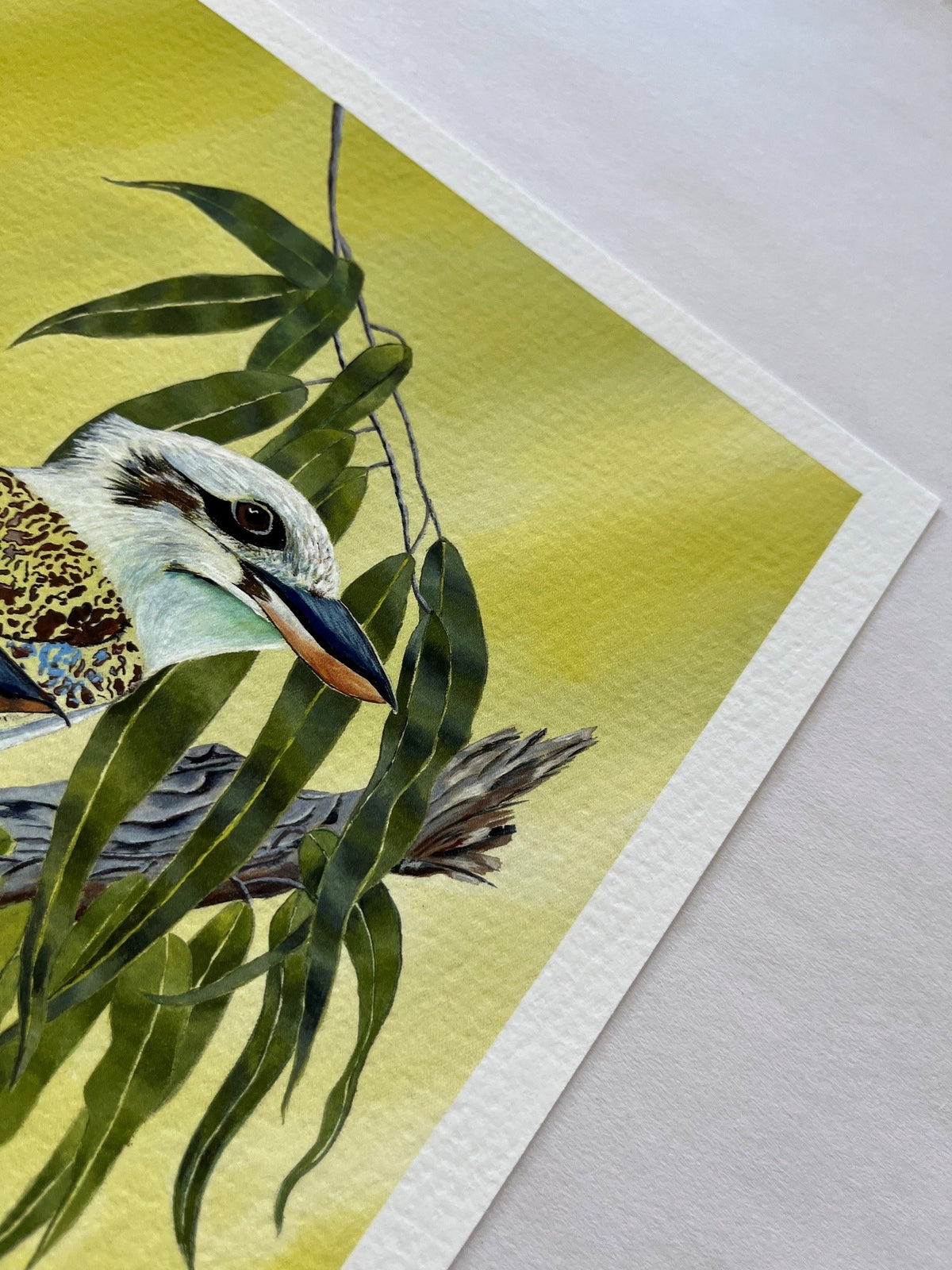 Kookaburra Trio | Fine Art Reproduction | Multiple Sizes | Sally McLean Artist