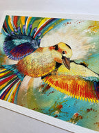 Kookaburra In Flight | Fine Art Reproduction | Multiple Sizes | Sally McLean Artist