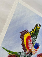 Lorikeets In Blossom | Fine Art Reproduction | Multiple Sizes | Sally McLean Artist