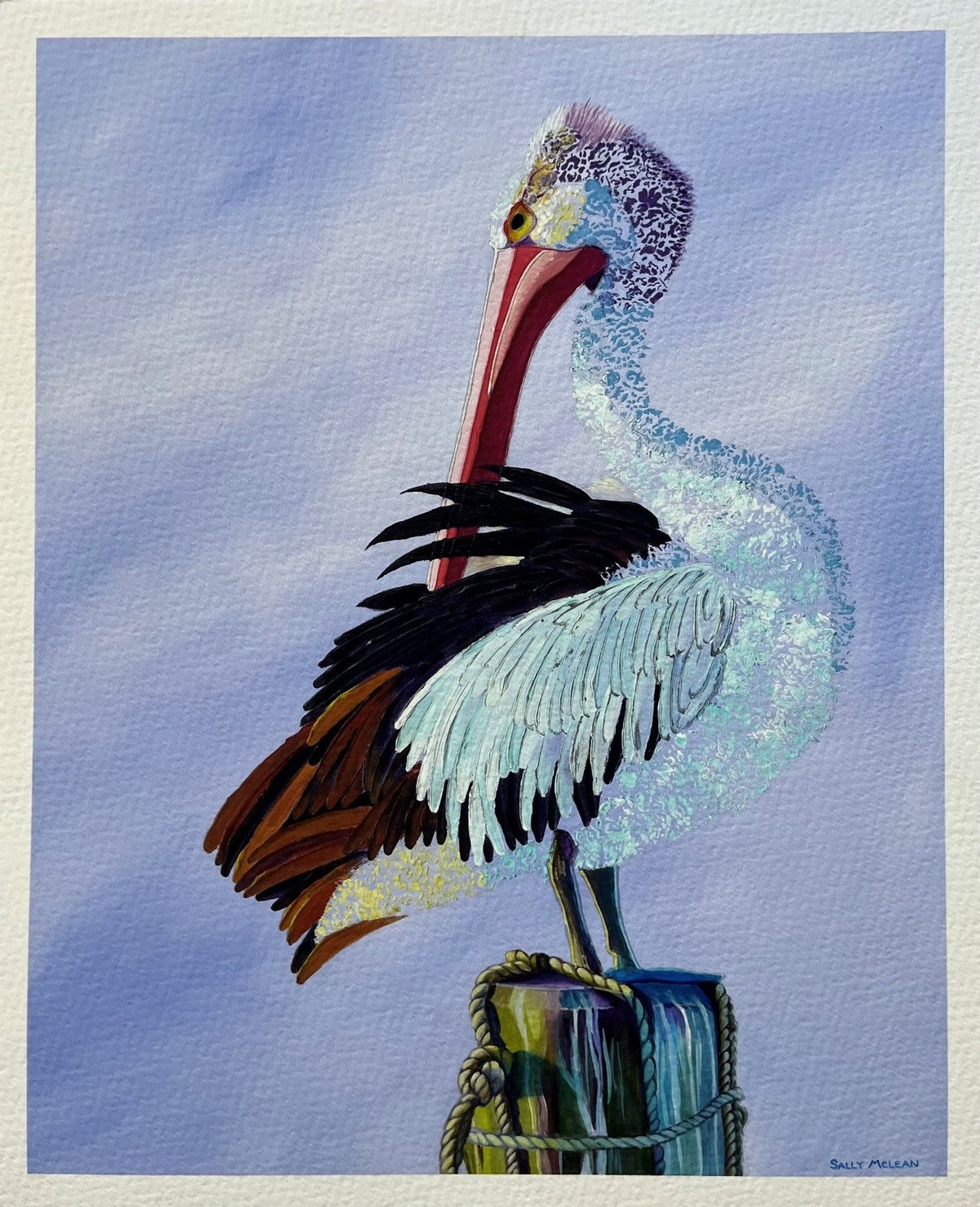 Pelican Pete fine art reproduction print by Sally McLean Artist, Australian wildlife art