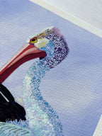 Pelican Pete | Fine Art Reproduction | Multiple Sizes | Sally McLean Artist