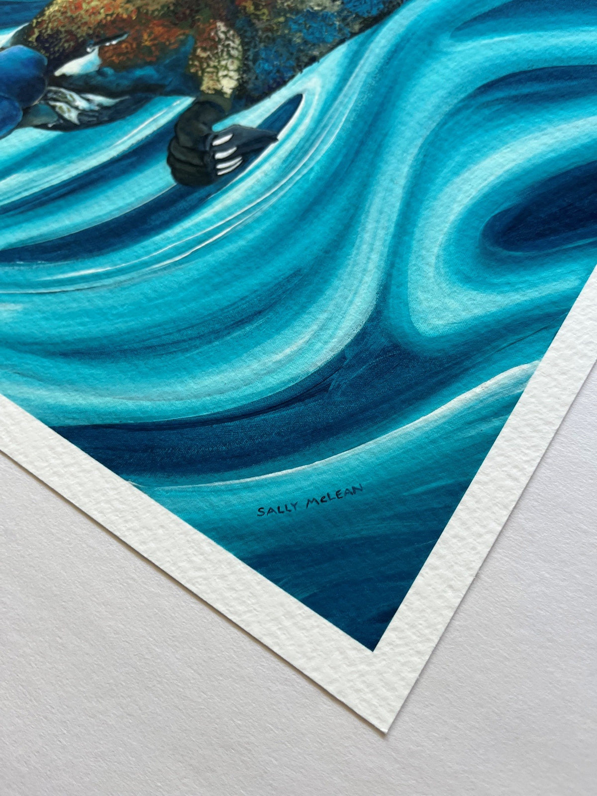 Platypus | Fine Art Reproduction | Multiple Sizes | Sally McLean Artist