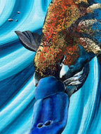 Platypus | Fine Art Reproduction | Multiple Sizes | Sally McLean Artist