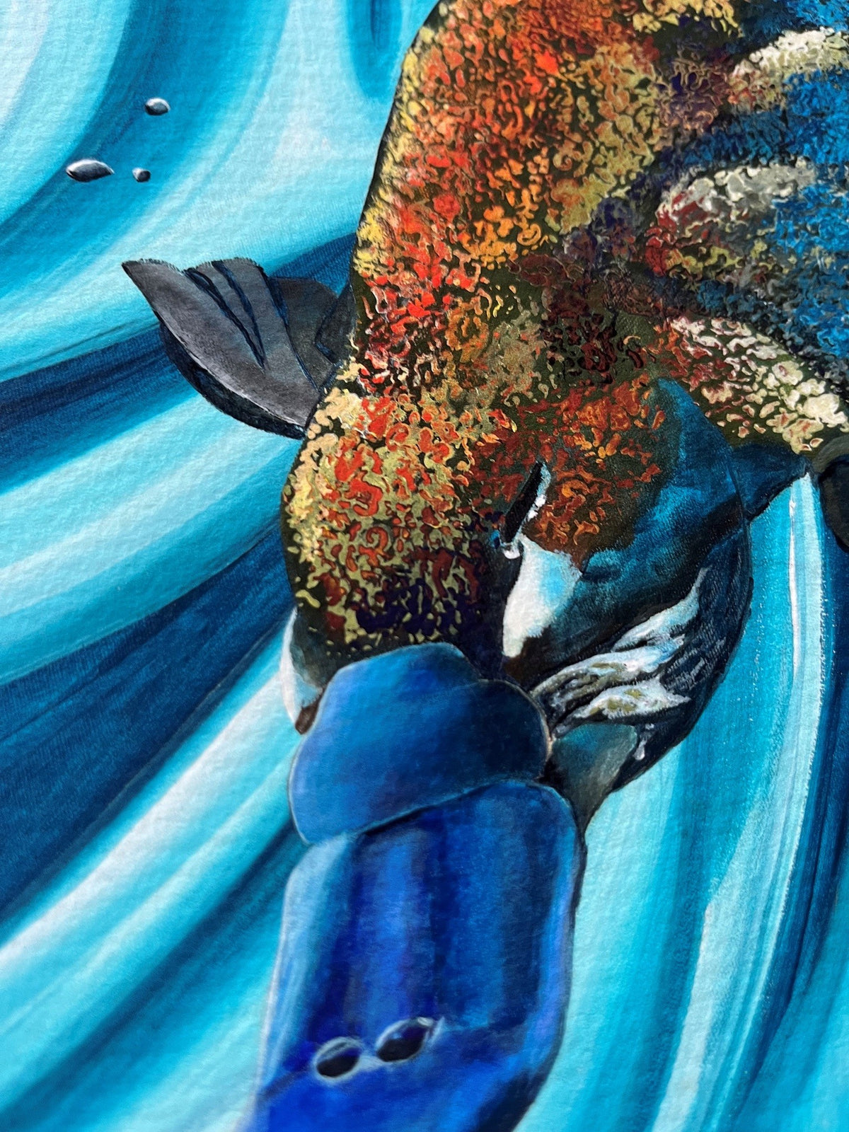 Platypus | Fine Art Reproduction | Multiple Sizes | Sally McLean Artist