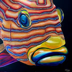 Eye Spy Something Fishy acrylic original artwork by Sally McLean Artist, Australian wildlife art