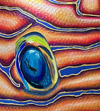 Eye Spy Something Fishy | Acrylic Original Artwork | Australian Wildlife Art