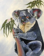 Koala acrylic original artwork by Sally McLean Artist, Australian wildlife art