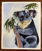 Koala - Art Print