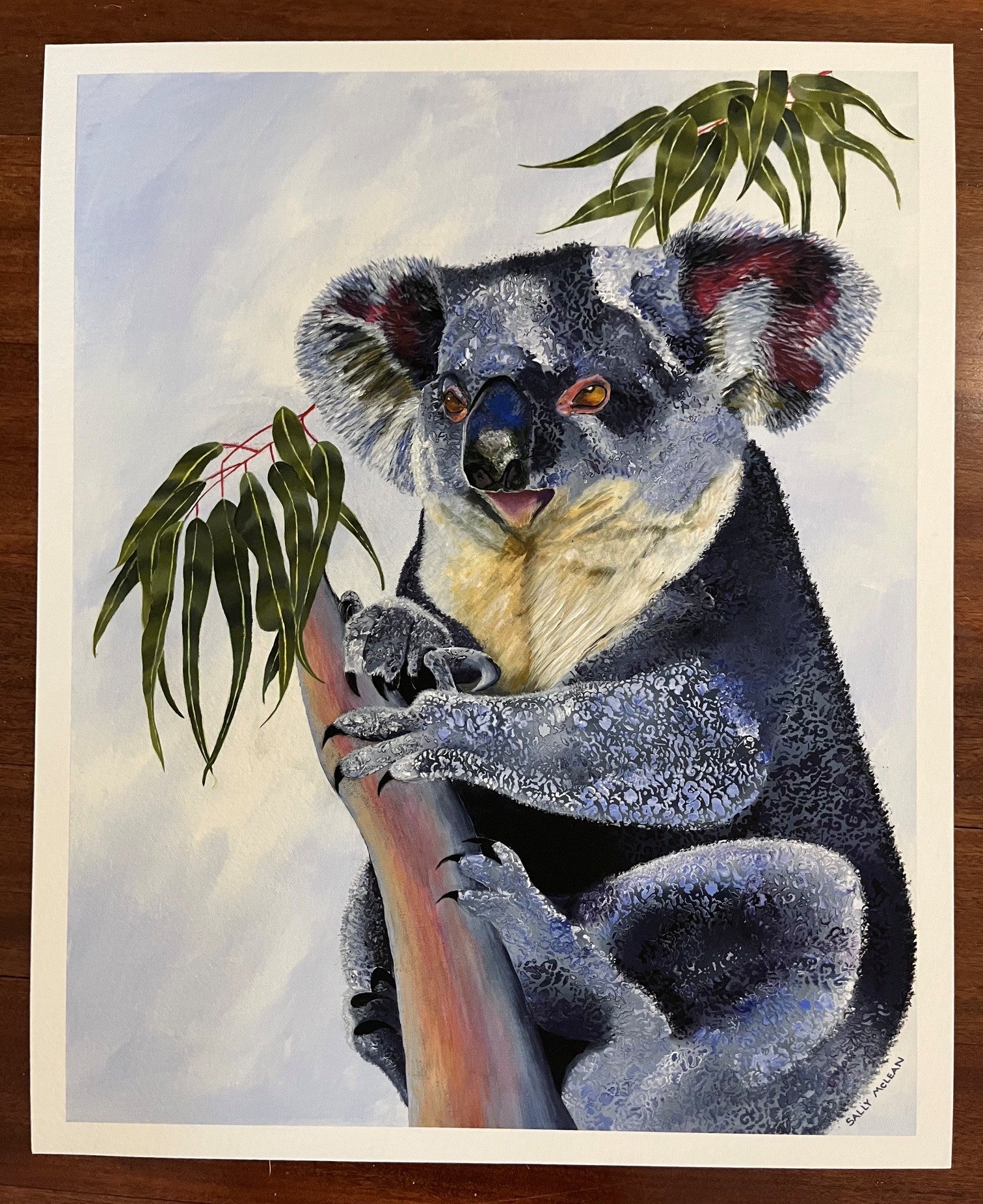 Koala - Art Print