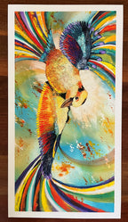 Kookaburra In Flight - Art Print