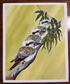 Kookaburra Trio - Art Print