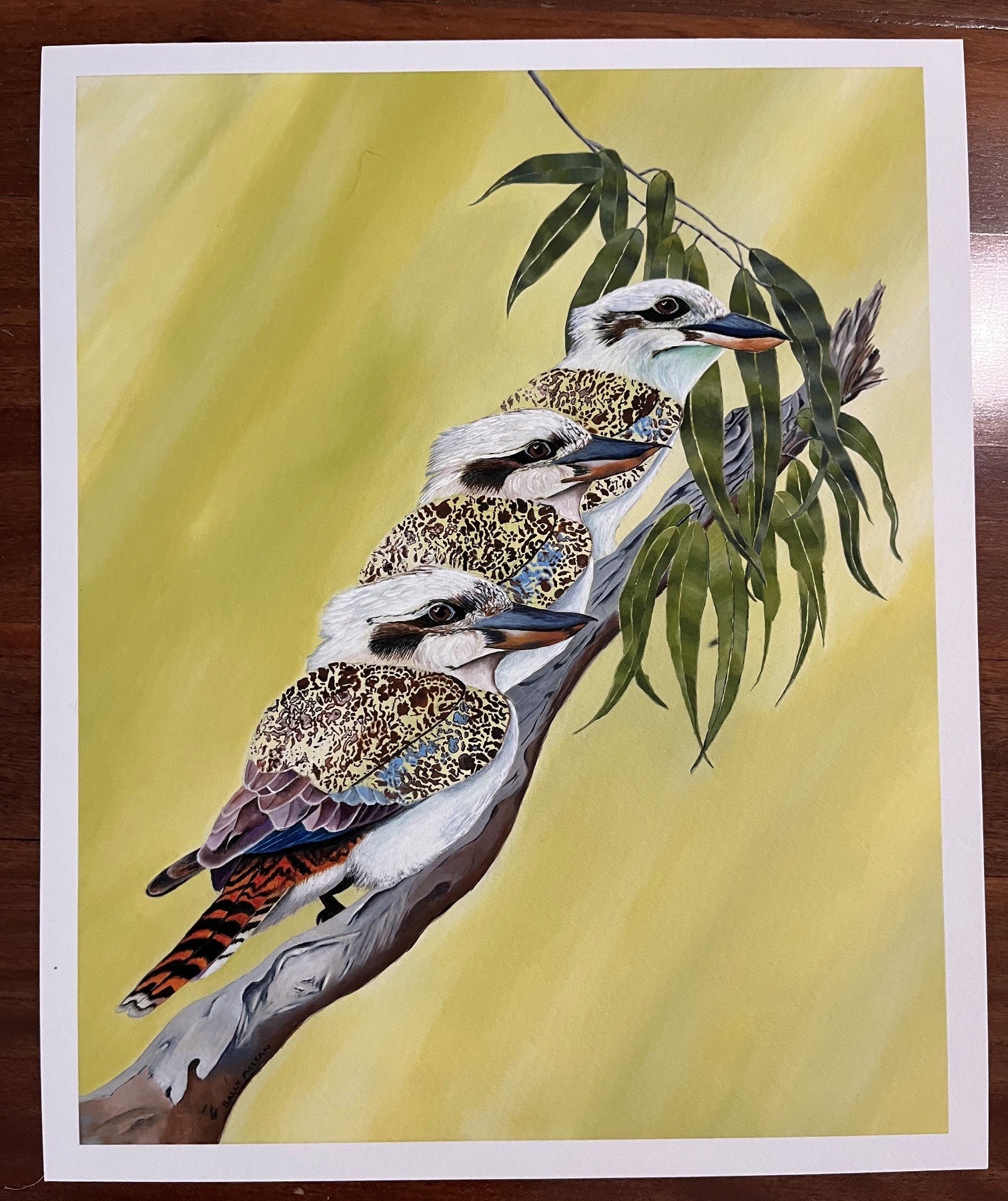 Kookaburra Trio - Art Print