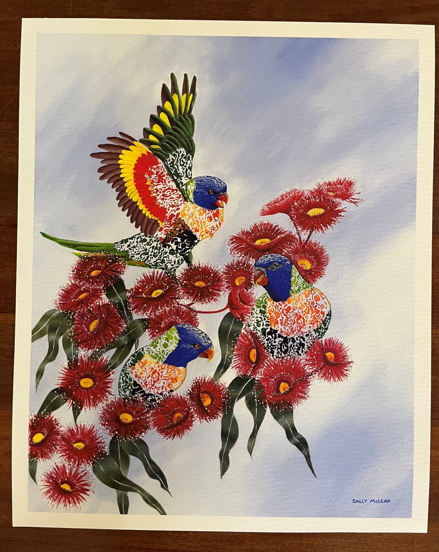 Lorikeets In Blossom - Art Print