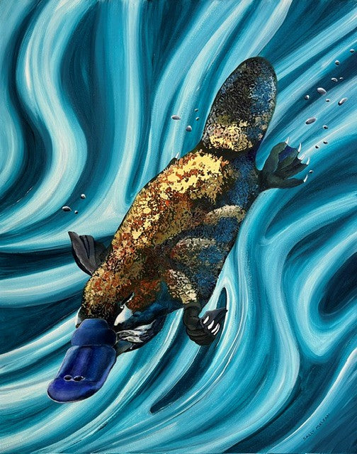 Platypus acrylic original artwork by Sally McLean Artist, Australian wildlife art