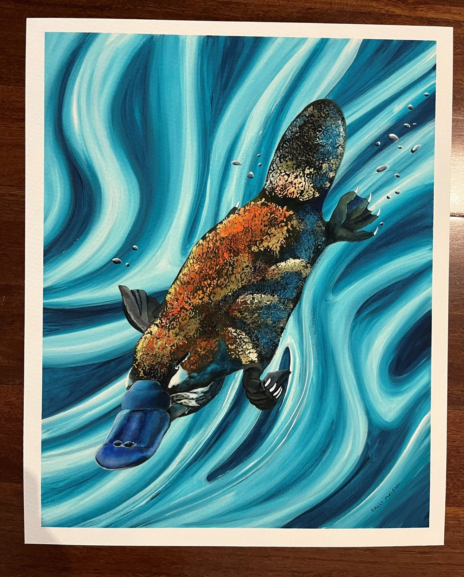 Platypus - Art Print