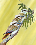 Kookaburra Trio