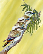 Kookaburra Trio - Art Print