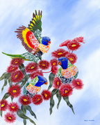 Lorikeets In Blossom - Art Print