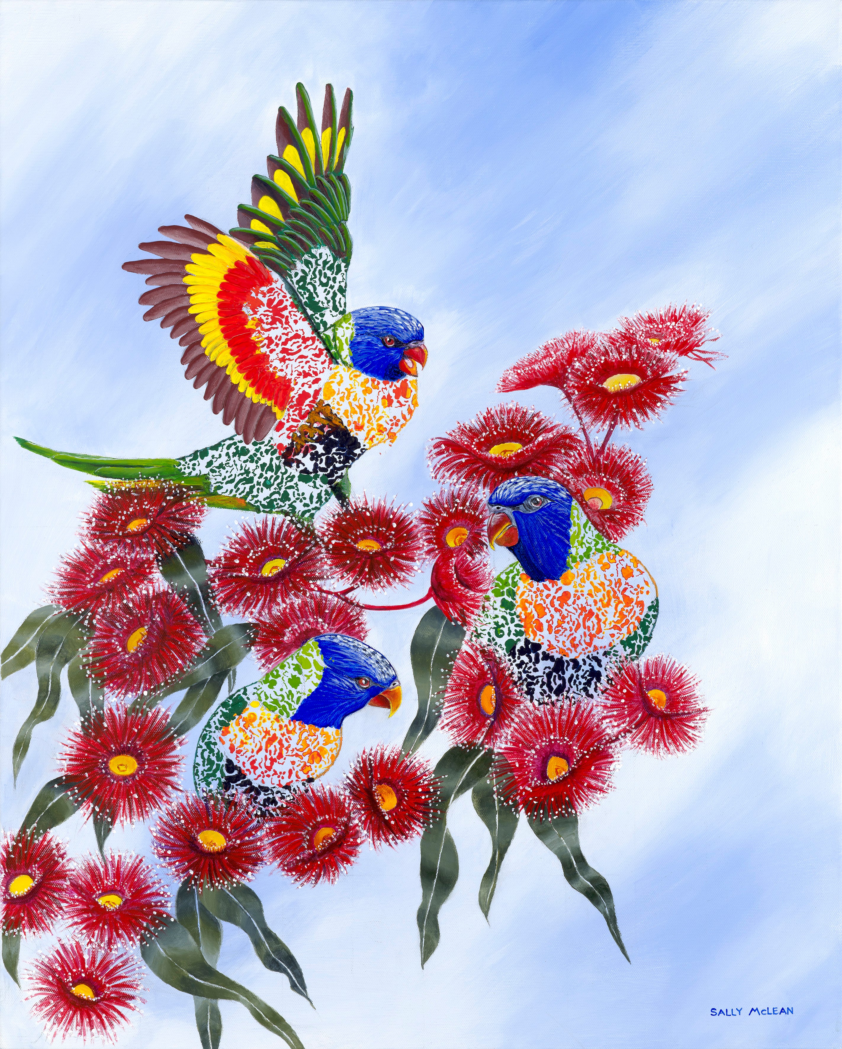 Lorikeets In Blossom - Art Print