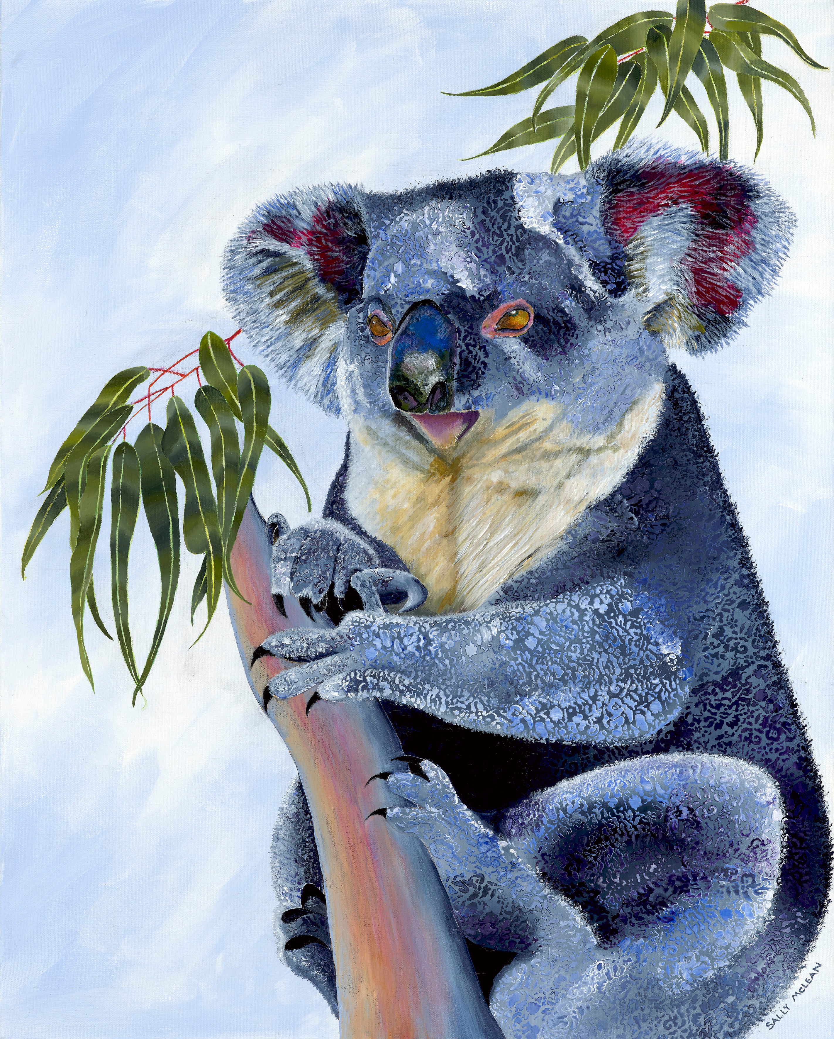 Koala
