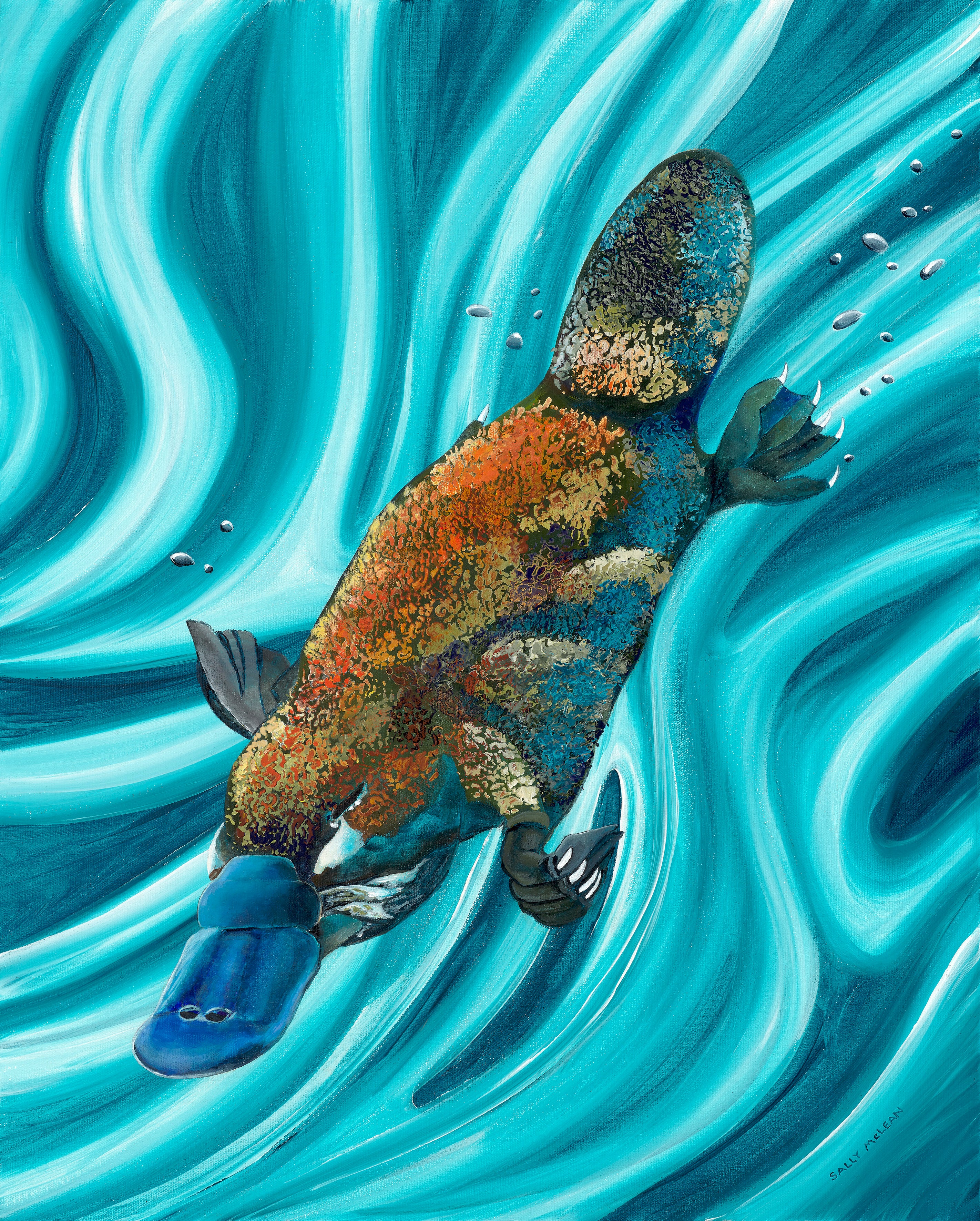 Platypus