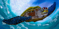 Murtle The Turtle