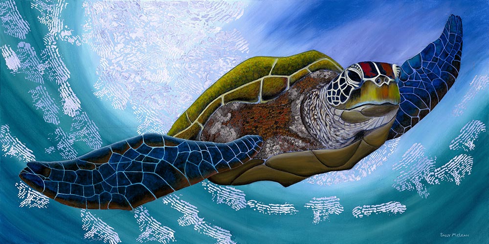 Murtle The Turtle
